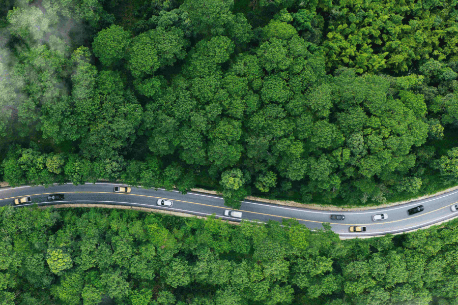 Luftaufnahme einer kurvigen Straße, die durch einen dichten, grünen Wald führt. Mehrere Autos fahren auf der Strecke. Das Bild steht symbolisch für modernes Fleet Management, bei dem unter anderem effiziente Routenplanung, Fahrzeugnutzung sowie die Erfassung und Reduzierung von Kraftstoffverbrauch und CO₂-Emissionen eine Rolle spielen.